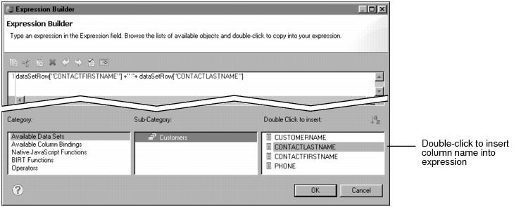 Figure 1-30 Concatenated data in the expression builder, created by choosing a Data Set field