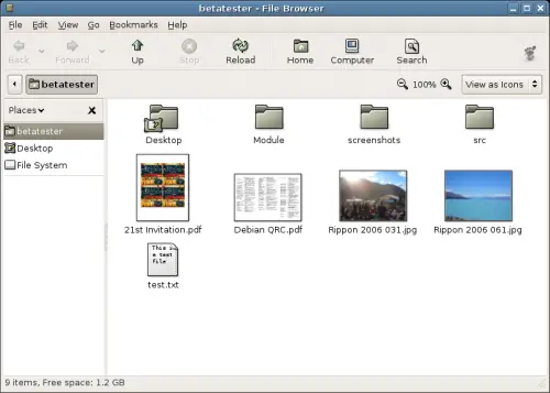  A folder in a file browser window.