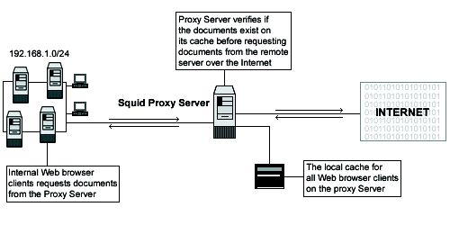squid server