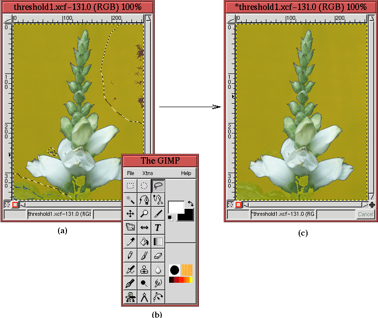 Figure 4.46