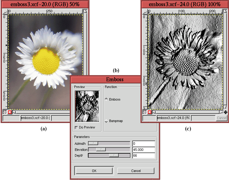 Gimp Advanced Guide 8.3 The Emboss and Bump map Filters