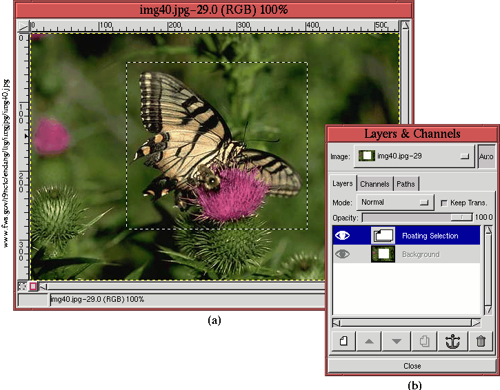 resize image gimp