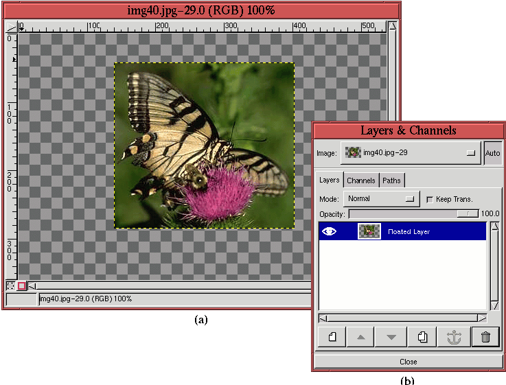 gimp resize image in layer